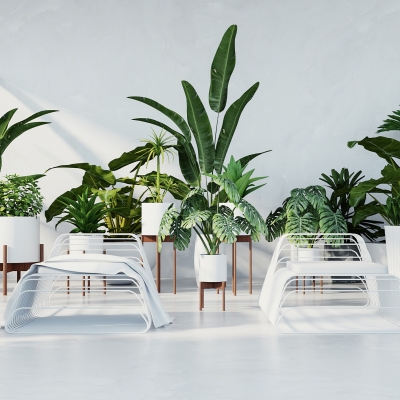 Интерьер и растения: 11 идеальных сочетаний для любого стиля